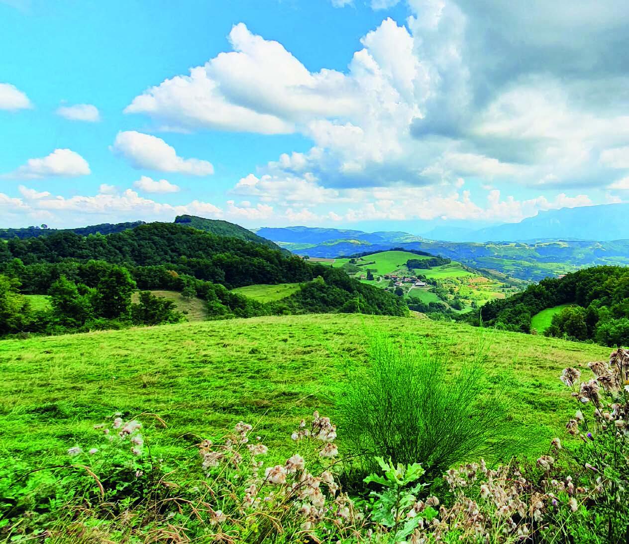 Iam in altera philosophiae parte